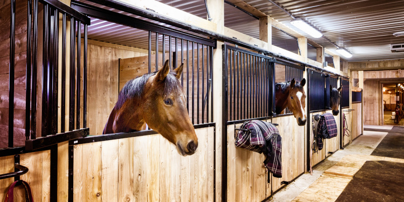 Horse Barn in Goldsboro, North Carolina